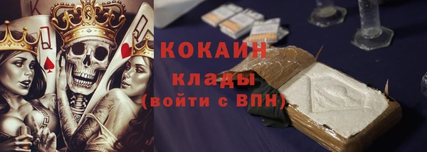 стафф Медногорск