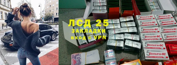 стафф Медногорск