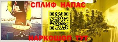 прущие грибы Усть-Илимск