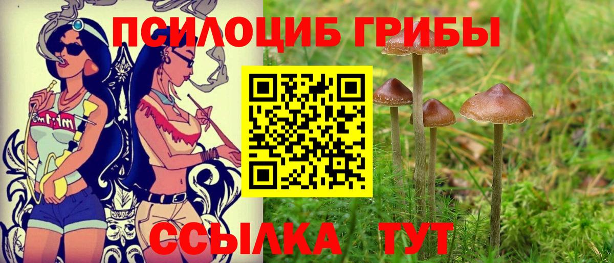 Псилоцибиновые грибы Magic Shrooms Тейково