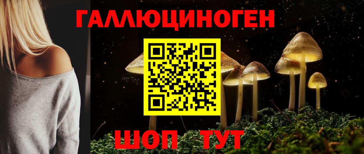 Псилоцибиновые грибы MAGIC MUSHROOMS  Тейково 
