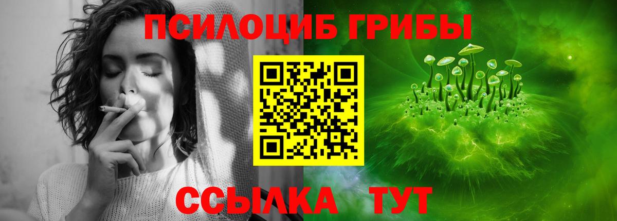 Тейково  Галлюциногенные грибы Psilocybe  Вход с VPN 