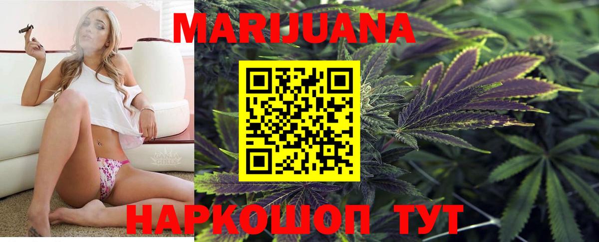 Канабис сатива  Шишки марихуана семена  Тейково  Конопля конопля 